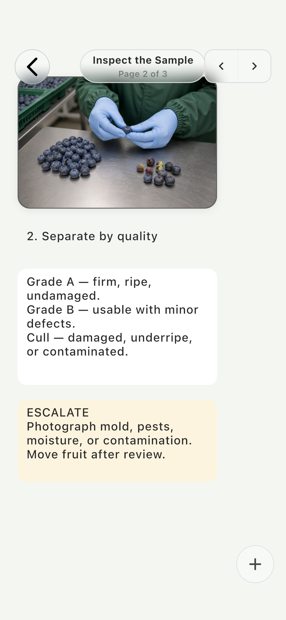 Farmroute visual SOP instruction page explaining how to inspect and separate blueberry quality grades